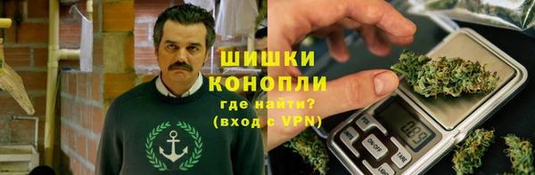 тгк Вяземский