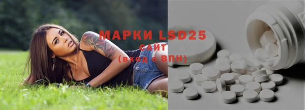 тгк Вяземский
