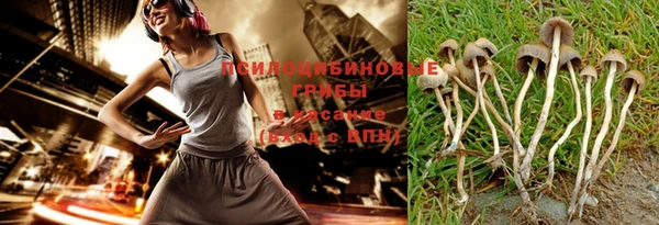 тгк Вяземский