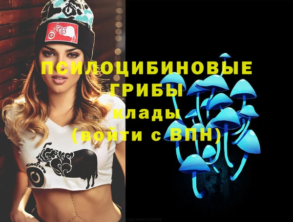 тгк Вяземский