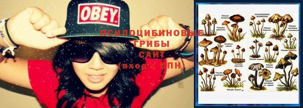 MESCALINE Вязьма