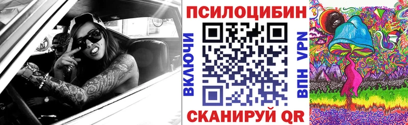 Псилоцибиновые грибы Psilocybine cubensis Светлогорск