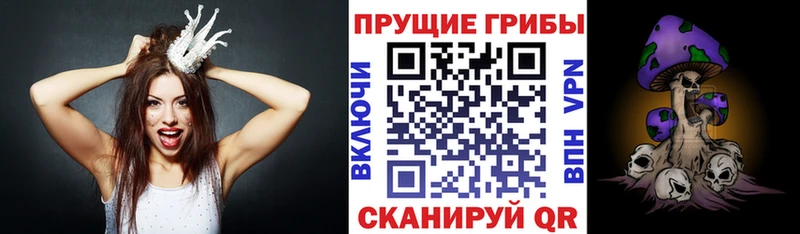 Купить закладки  Светлогорск  Галлюциногенные грибы MAGIC MUSHROOMS 
