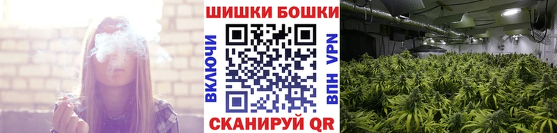 Купить закладки  Светлогорск  МАРИХУАНА VHQ 
